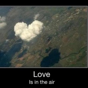 417231_432029070176268_646555585_n